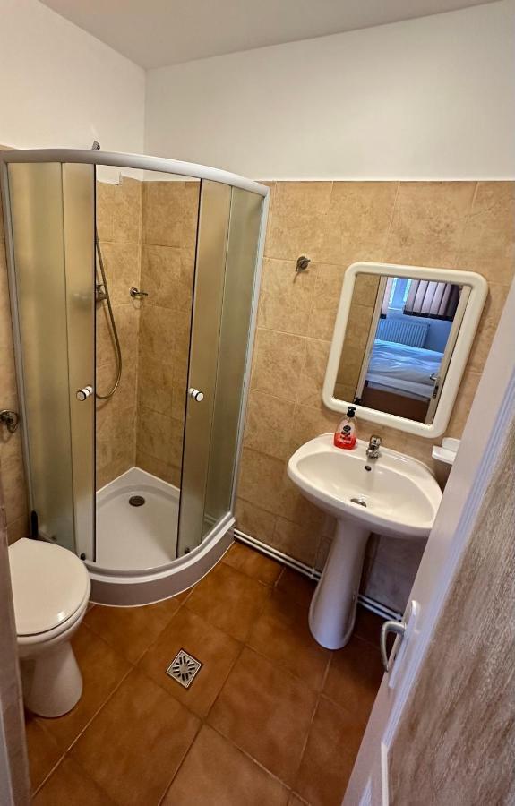 Georgiana 2 Guest house Timisoara